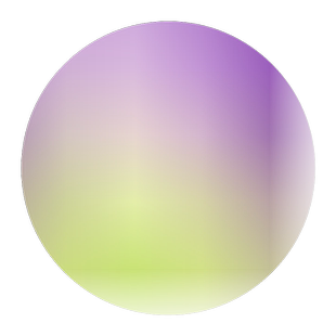 矮翠菊种子庭院花籽阳台开花室外花种易活花种籽大花好养的花种籽