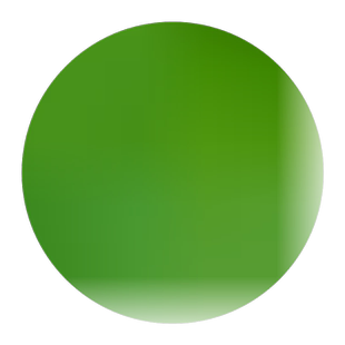 盐肤木种子中药材树五倍柴林木树种多年生蜜源植物观花五倍子种籽