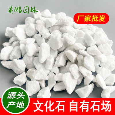 造景装饰白色砾石 惠阳厂供透水铺面白石园林工程铺路石子2-3公分
