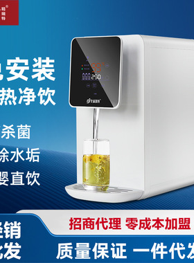 精瑞特净水器家用直饮加热一体机自来水过滤饮水机台式净水机