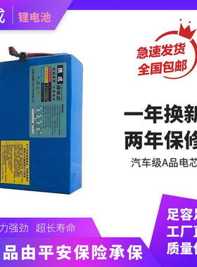 锂电池电动电瓶车头横梁挂包24V36V48V折叠代驾外卖尾架48V20AH