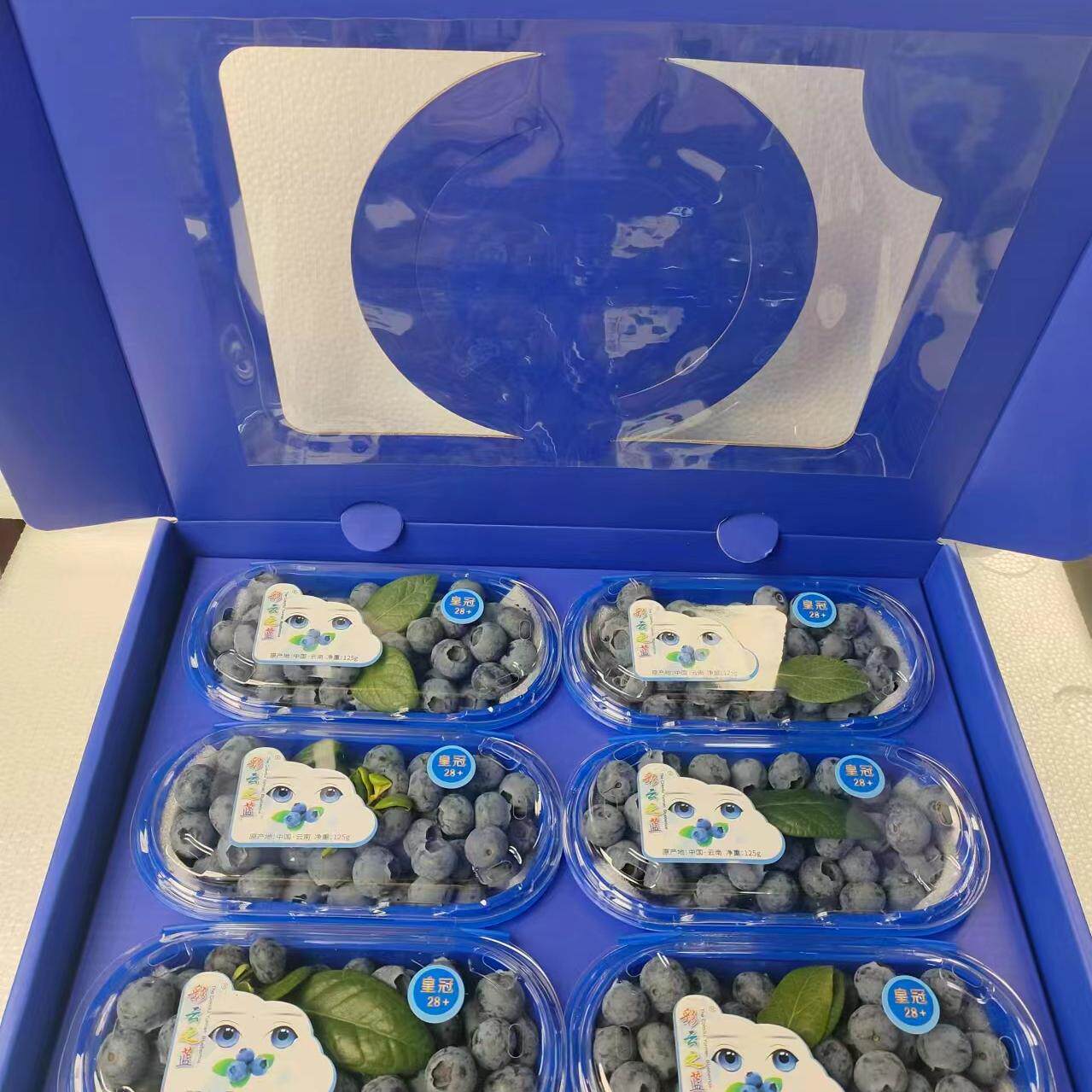 (高端礼盒6盒船盒装）25号脆甜花香蓝莓云南露天种植顺丰包邮空运