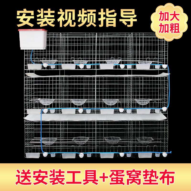 高档16位鸽笼养殖金属用品鸽子鸽舍鸽棚中型厂家加粗室内底盘阳台