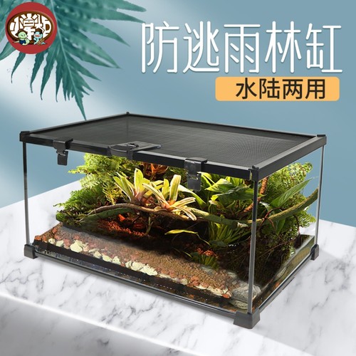 爬宠守宫雨林缸小掌柜玻璃雨林缸