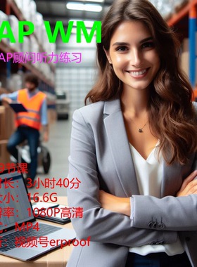 SAP顾问英语听力训练视频之SAP WM模块 高清 英语字幕 19节课