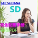 后台配置 SAP 图文并茂 SD完全配置手册 单个PDF HANA