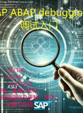 SAP ABAP DEBUG调试技术入门学习高清视频英文讲解带双语字幕