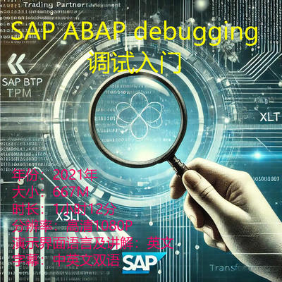 SAP ABAP DEBUG调试技术入门学习高清视频英文讲解带双语字幕