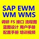 SAP EWM/WMS/WM资料汇总含接口FS开发流程图用户手册蓝图配置视频