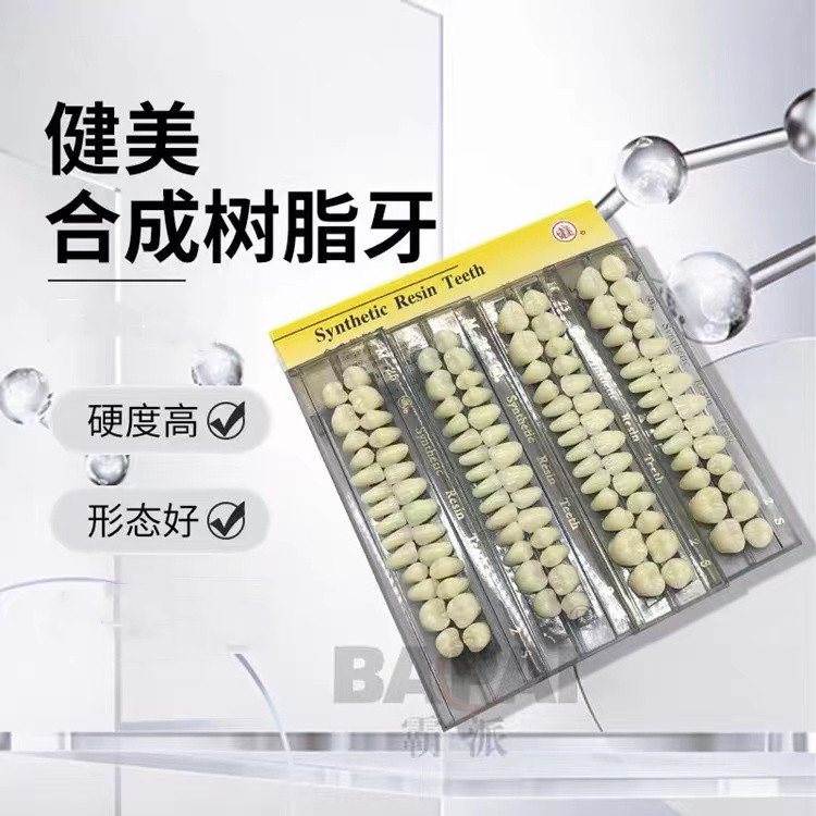 健美合成树脂牙镶装义齿缺牙