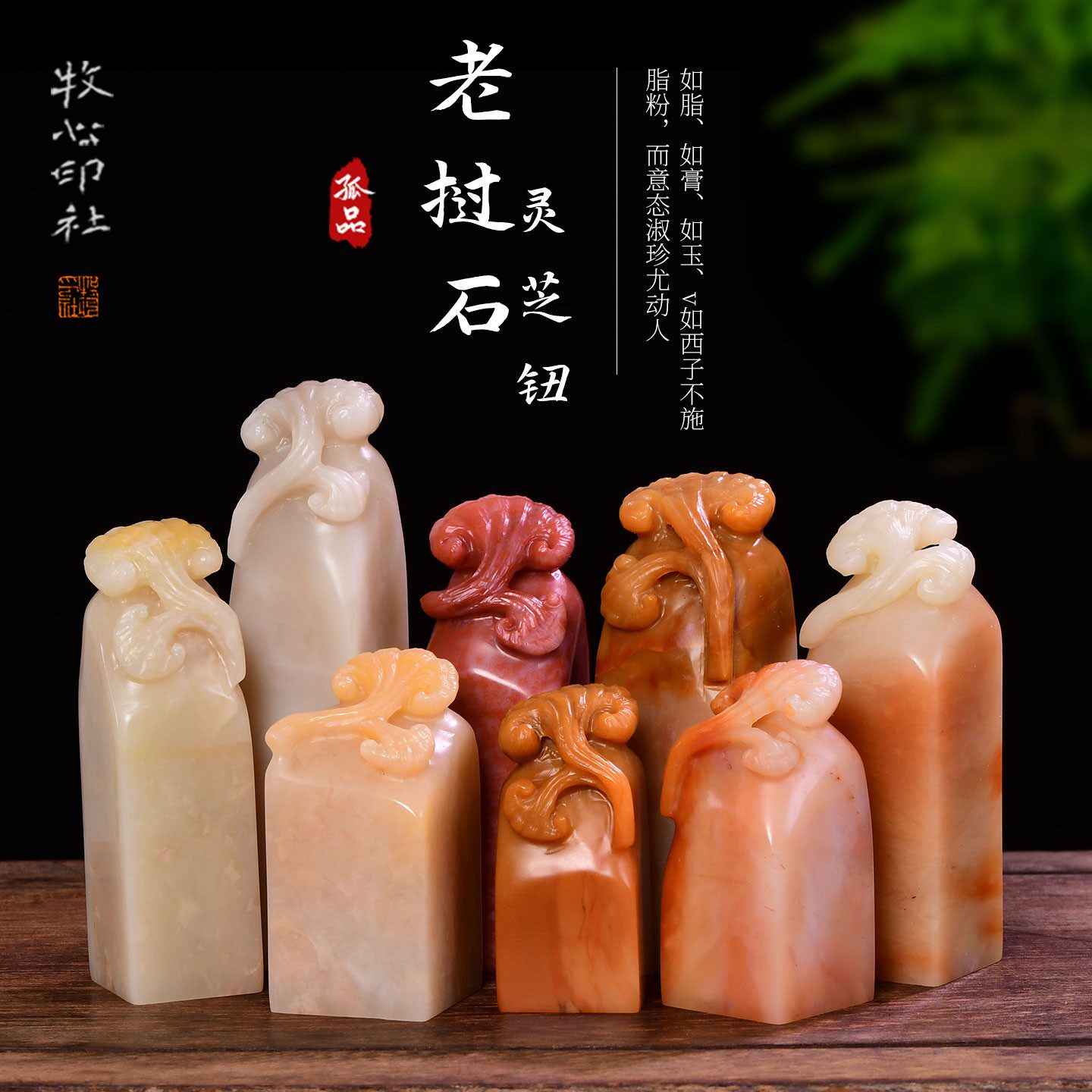 老挝石灵芝钮 手工篆刻定制石料收藏印石毛笔字画印章2.0-2.5cm