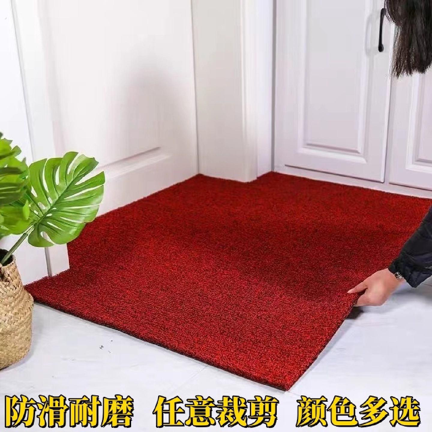 可裁剪丝圈地垫地毯进门口入户门垫家用防滑防水门口脚垫室外入门