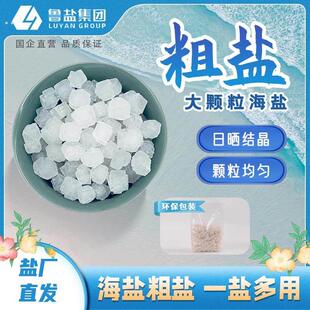 鲁晶大粒盐粗盐5斤天然海盐腌菜热敷净宅食品级家用