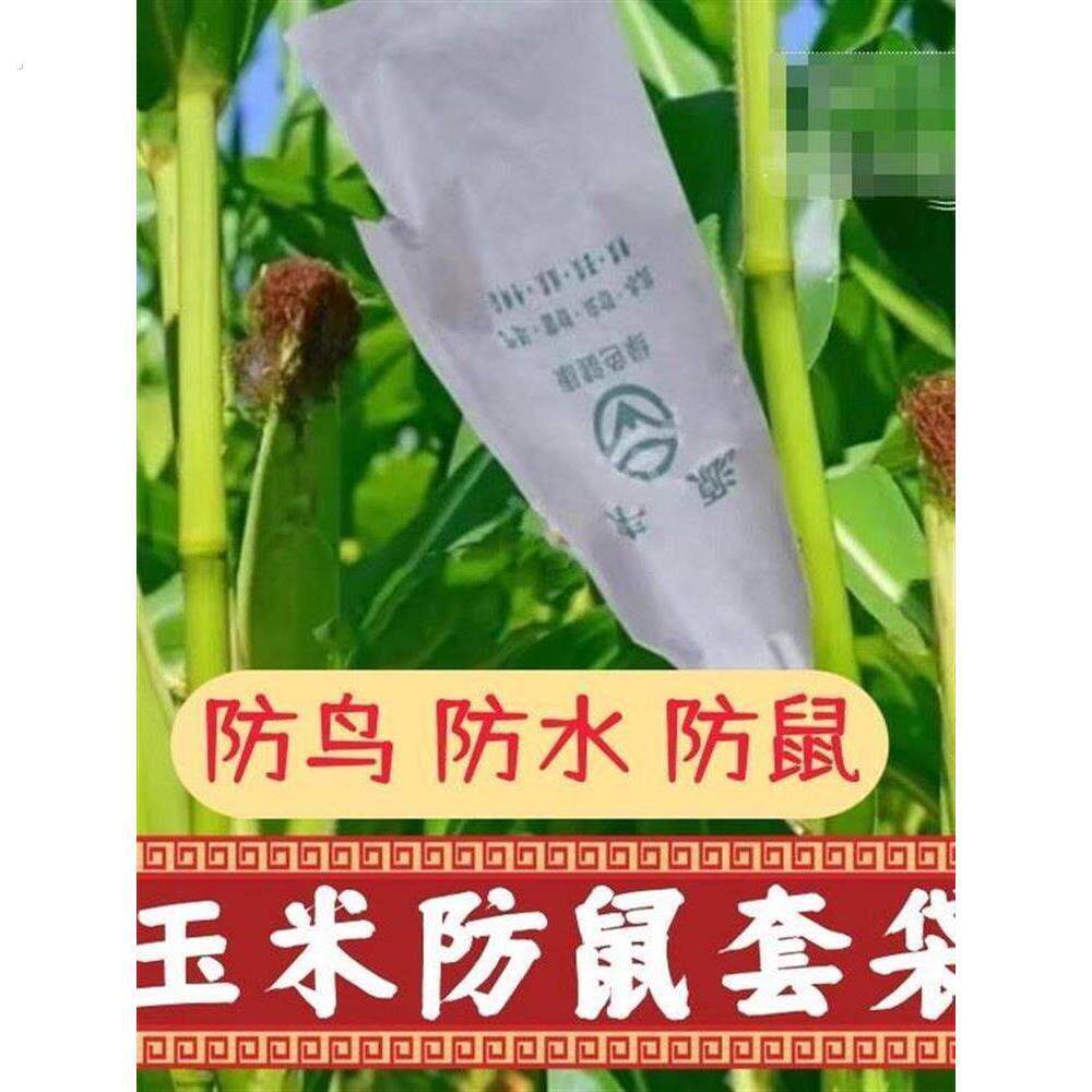 玉米防鼠套袋玉米防鸟套袋专用袋农用防虫老鼠苦爪丝瓜纸袋子苞谷