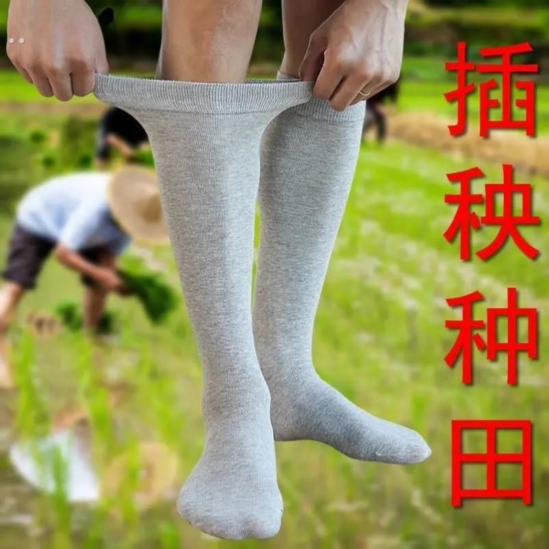 插秧袜子种田男水田袜种水稻插田下田脚袜厚长腰防蚂蝗长袜栽秧