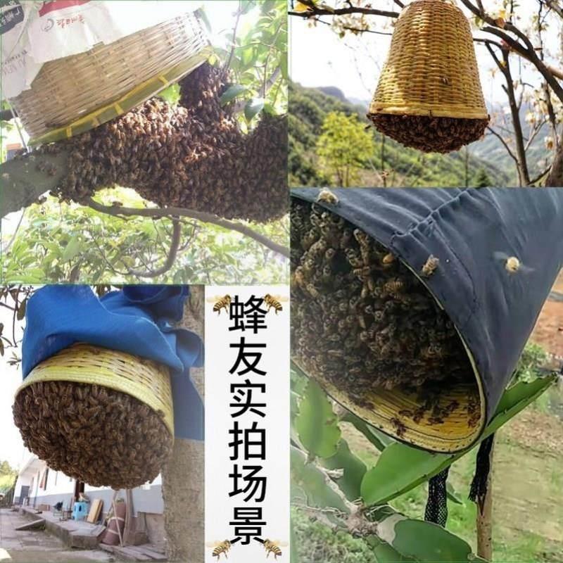 。竹编收蜂笼专用野外诱蜂神器竹制收峰工具全套抓蜜蜂笼子捕蜂器