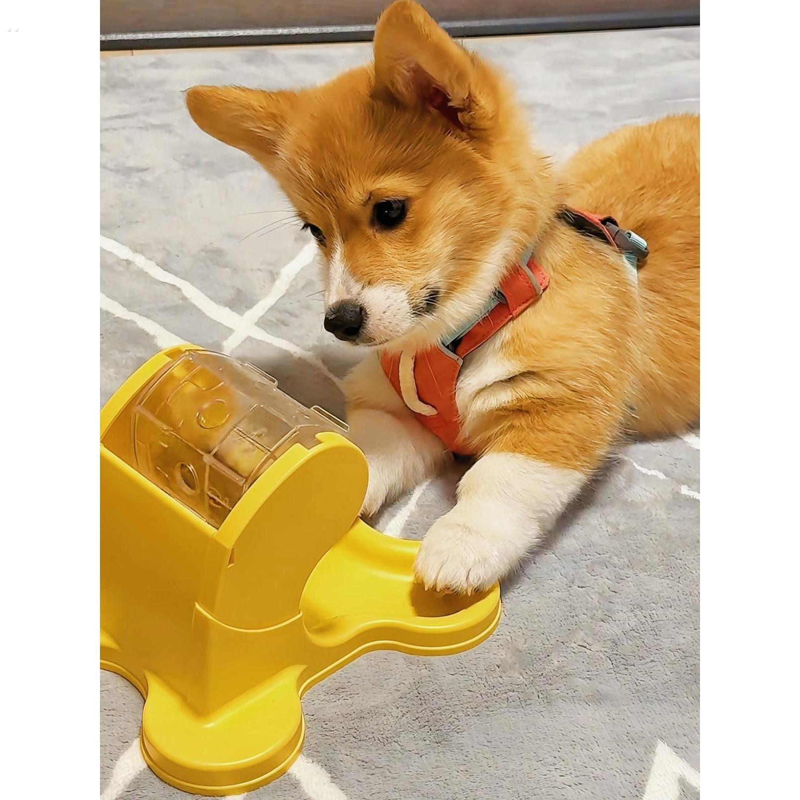 宠物益智漏食玩具铲屎官家用滚轮缓食自动喂食器趣味防拆家训练器