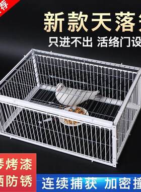 新款天落笼鸽子笼加厚加密自动收鸽子神器活络门撞门户外只进不出