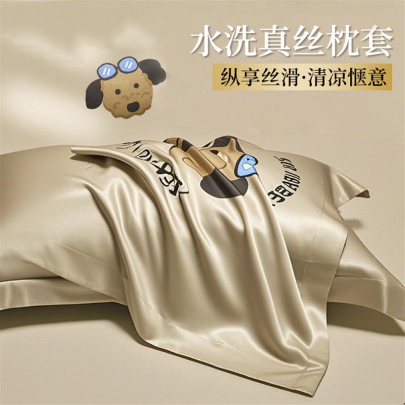 HAMY夏季枕套冰丝枕头套一对装儿童卡通家用48cmx74cm枕芯男通用
