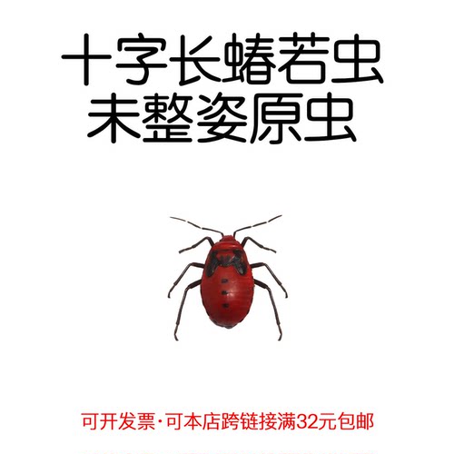 未整姿十字长蝽若虫手工DIY材料