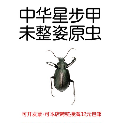 未整姿中华星步甲自然科普手材料