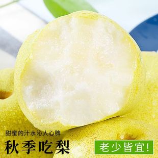 百事激浪水果徐州丰县大沙河酥梨砀山梨10斤冰糖梨孕妇薄皮梨特级