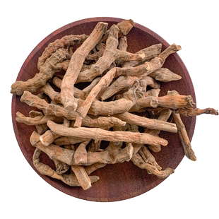 三白草 天性草 百节藕 白花莲 塘边藕 水木通 水荖根草药