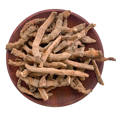 三白草水木通水荖根天性草