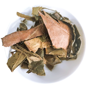 枇杷叶500g克枇杷叶茶枇杷叶干货生枇杷叶新鲜另售罗汉果