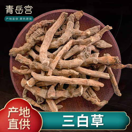 三白草水木通水荖根天性草