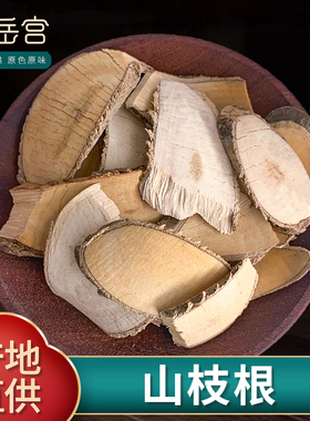 山枝根500g克新货栀子根皮子药山枝子根干货光叶海桐的根