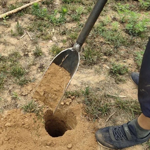 正宗洛阳载杆老式山药锰钢挖8锻打铲挖土穿管打井公分手工18打洞-,收纳整理,主机箱托架,淘宝优惠券,粉丝福利购,淘宝优惠卷
