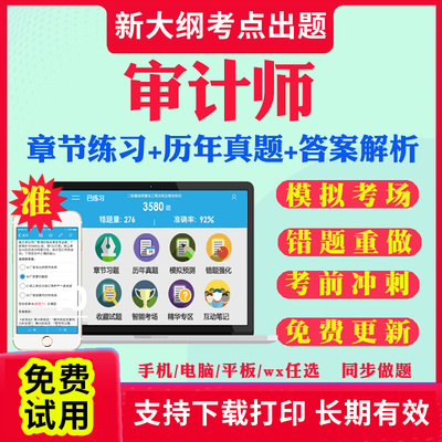 2025年初级中级审计师教材真题库网课件考试软件激活码高级专业相关知识理论与实务官方东奥章节练习历年真题试卷模拟APP刷题2025