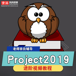 project2019零基础入门到精通视频教程office2019办公软件教学课程全套网课程在线自学新手0基础实战培训进阶案例网课素材源文件快