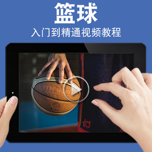 篮球零基础入门到精通视频教程体育运动训练一步步健身健体减肥减值燃脂减重教学课程全套网在线课程自学新手0基础实战培训进阶案