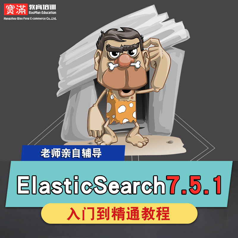 ElasticSearch7.5.1零基础入门到精通视频教程软件教学全套网课程在线课程自学新手0基础实战培训进阶案例网课素材源文件快速掌握