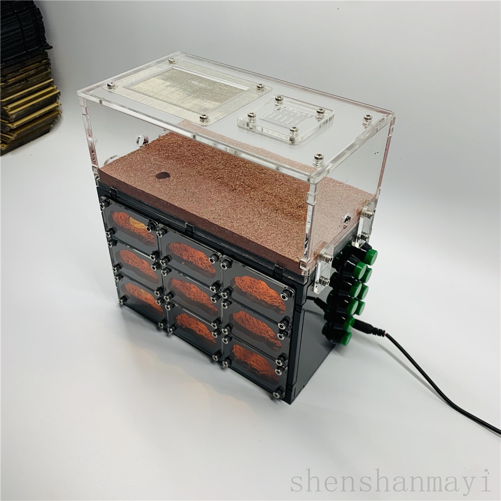 天空城D版带灯蚂蚁工坊笼子世界城堡原生繁殖蚁巢压克力沙巢