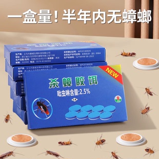 第强效端一名虫卵双杀灭除杀蟑胶饵专用 蟑螂药家用非无毒全窝正品