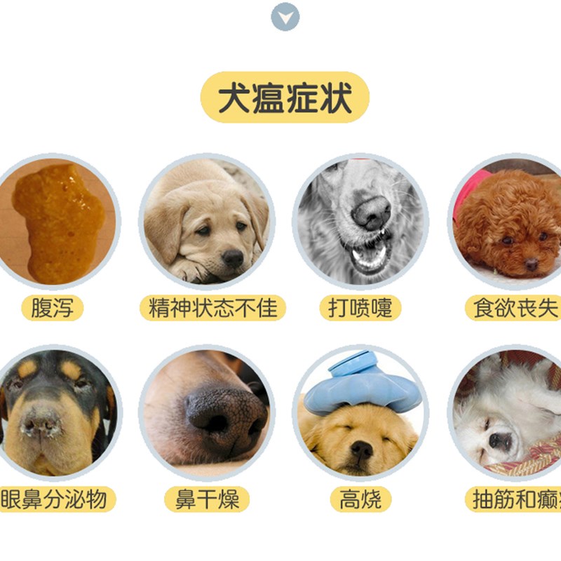 宠物犬瘟药抑制治疗病毒q犬瘟单抗狗狗咳嗽犬瘟热血清