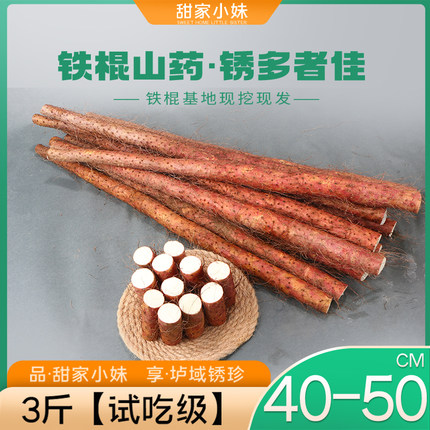 河南省焦作特产新鲜3斤铁杆铁棒淮山怀山药温县正宗垆土铁棍山药