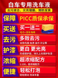 车仆洗车液白车专用强力去污上光镀膜水蜡白色汽车泡沫清洗剂套装