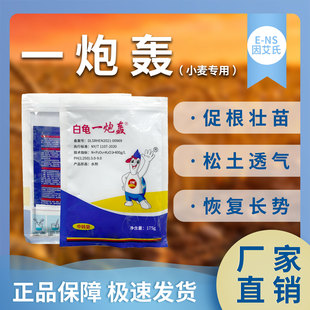 因艾氏白龟一炮轰小麦种植专用促根壮苗松土透气恢复长势微生物肥