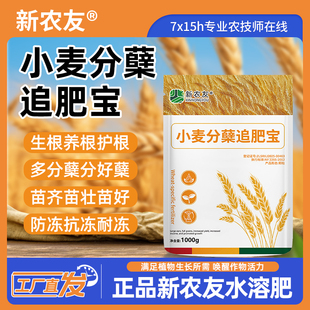 小麦分蘖追肥宝冬小麦壮苗大麦黄金生根壮苗抗旱防冻增产剂抗倒伏