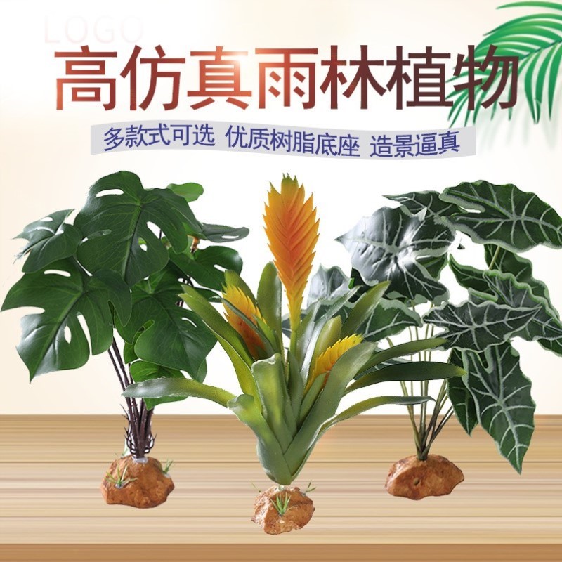 全套环境材料环保陆龟造景缸爬虫雨林生态饲养仿真植物箱造景雨林