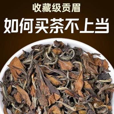 福鼎老白茶品质榜第1名