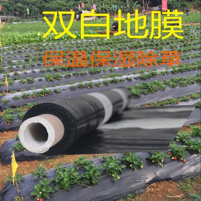 农用银黑地膜蔬菜种植双色反光除草防虫防晒保温保湿育苗银f色薄