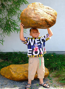 真黄蜡石乌龟晒台摆件青龙石造景组合大块岩石风水道具假山石刻字