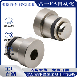 T5不锈钢轴效 LLTS5偏心销ICE11 直线导轨用定位销 LLT5 LLT3.5