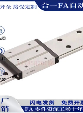 SSELBWN SSEL2BWN9/12/14/16/G/L微型直线导轨带定位孔滑块
