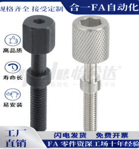 调整螺栓PAZ31/32/36-M3/M4/M5/M6/M8/M10/M12/M16-L20/L30